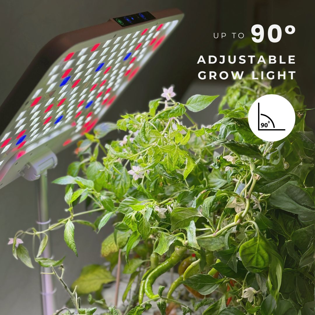 Urban Oasis HydroLush